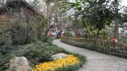 成都公园爆料视频最新版,揭秘公园里的秘密角落与奇遇记  第2张